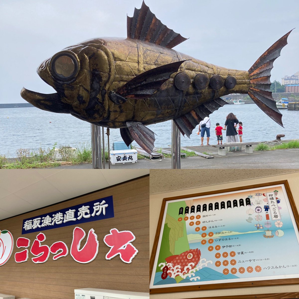 jesuis92hiko's tweet photo. #Inatori Fishing Port
#東伊豆町役場
#稲取キンメ
#港の朝市 https://t.co/zrXM2QbpQ6