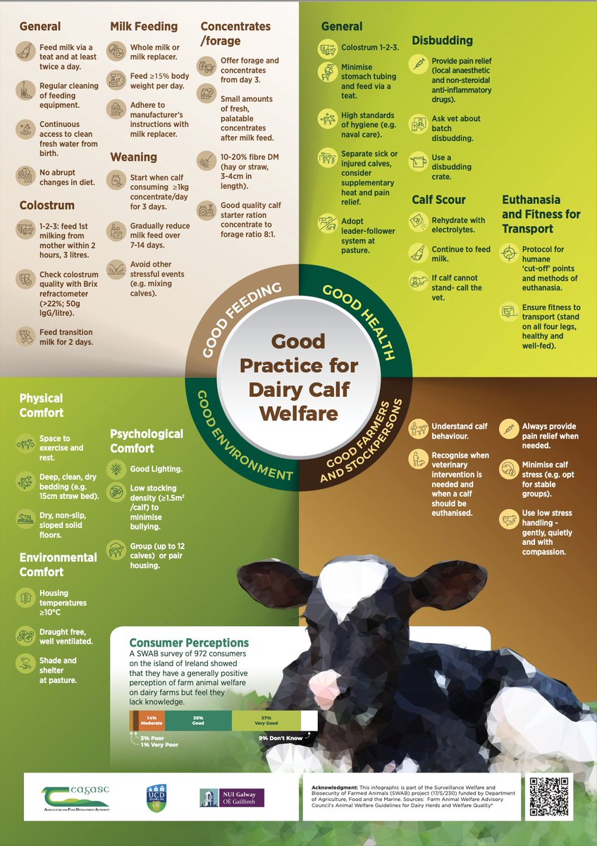 Professor Alison Hanlon (@alisonhanlon) on Twitter photo This morning we are showcasing findings & outputs from #SWAB project incl. 2 infographics on #AnimalWelfare All available: teagasc.ie/rural-economy/… <a href="/LABoyle2/">Laura Boyle 🇮🇪</a> <a href="/aineregan/">Aine Regan</a> <a href="/AineMW/">Áine Macken-Walsh</a> <a href="/mcaloonvet/">Conor McAloon</a> <a href="/ucdvetmed/">UCD School of Veterinary Medicine</a> <a href="/teagasc/">Teagasc</a> <a href="/UCD_Research/">UCD Research</a> <a href="/tommythevet/">Tommy Heffernan 🦠🦠🦠</a> <a href="/agriculture_ie/">Dept of Agriculture, Food and the Marine</a> This morning we are showcasing findings & outputs from #SWAB project incl. 2 infographics on #AnimalWelfare All available: teagasc.ie/rural-economy/… <a href="/LABoyle2/">Laura Boyle 🇮🇪</a> <a href="/aineregan/">Aine Regan</a> <a href="/AineMW/">Áine Macken-Walsh</a> <a href="/mcaloonvet/">Conor McAloon</a> <a href="/ucdvetmed/">UCD School of Veterinary Medicine</a> <a href="/teagasc/">Teagasc</a> <a href="/UCD_Research/">UCD Research</a> <a href="/tommythevet/">Tommy Heffernan 🦠🦠🦠</a> <a href="/agriculture_ie/">Dept of Agriculture, Food and the Marine</a>