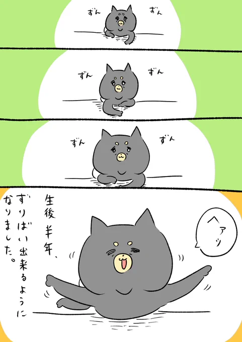 無事に息子、回復しました!その間に赤ちゃんも成長してました。 