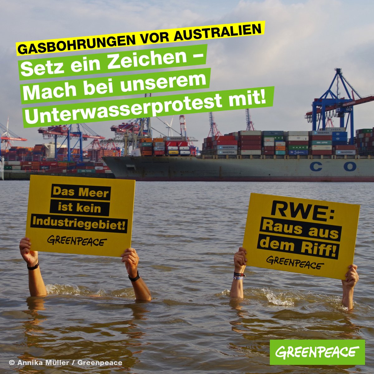 greenpeace_de's tweet photo. #RWExit: Zeig @RWE_AG was du von ihrem Plan hältst vor der Westküste Australiens nach Gas zu bohren. Nimm an unserer (Unter)wasserprotestaktion teil. 📸🤿🏄
Hier geht’s zur Anleitung und mehr Infos:
https://t.co/Z33QhH4alZ https://t.co/xFDHhWYlxX