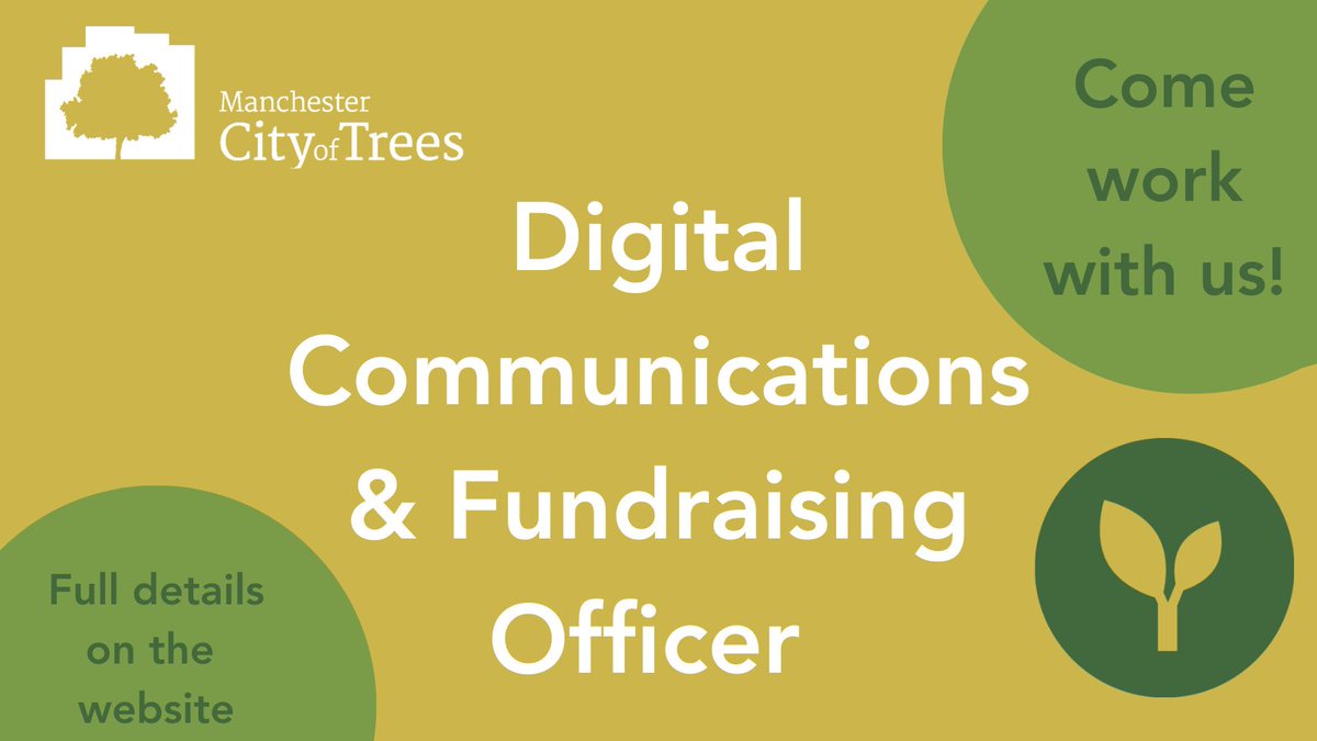 City of Trees tweet media