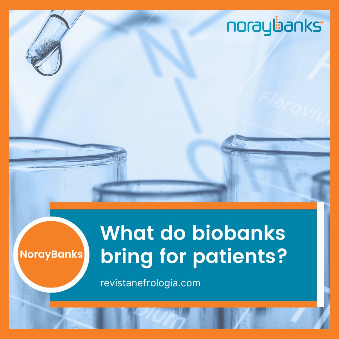 NorayBanks Software tweet media