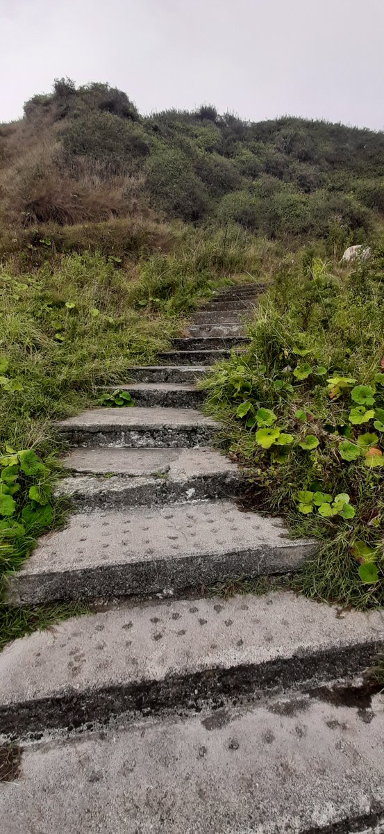 Getting our steps up #onegoodcommunity #braychamber