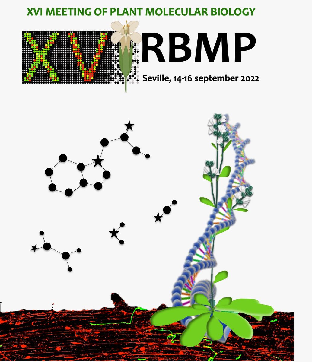 IBVF_Sevilla's tweet photo. Let's start! #RBMP2022 🌱☘️ https://t.co/1P1QLnQbyQ