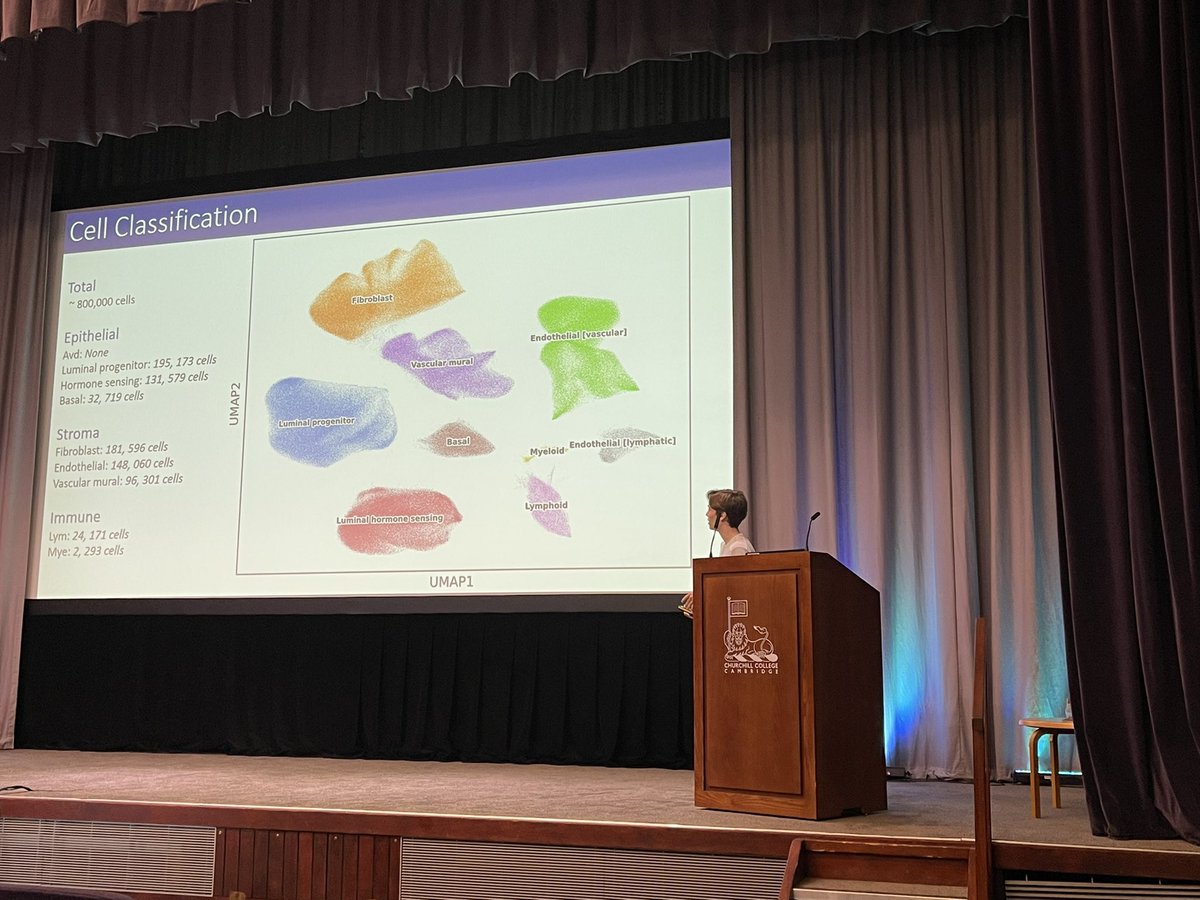 Walid Khaled tweet media