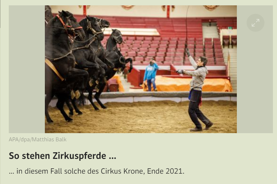 BrianCSchmidt's tweet photo. Wichtiges Update im Standard. #Stehung #OeVPKorruptionsUA
https://t.co/DzX5Mf3hNb https://t.co/FCTA68k61S