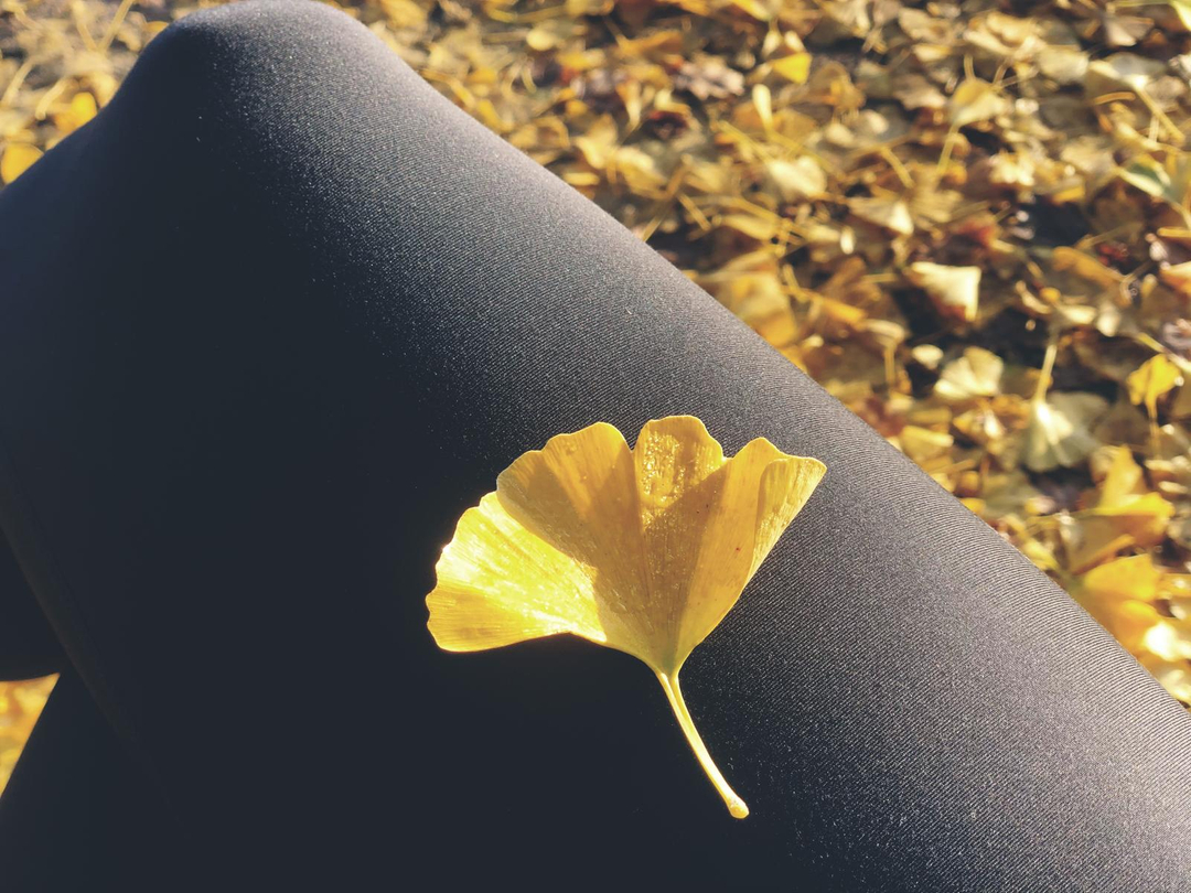 EscapadaRetreat's tweet photo. The Autumn Season 🍁🍂
According to Chinese Medicine, the season of Autumn is associated with the element of Metal which governs organisation, order, communication, the mid, setting limits and protecting boundaries. It’s a good time to finish projects that you began in spri https://t.co/5Hz5g9od0u