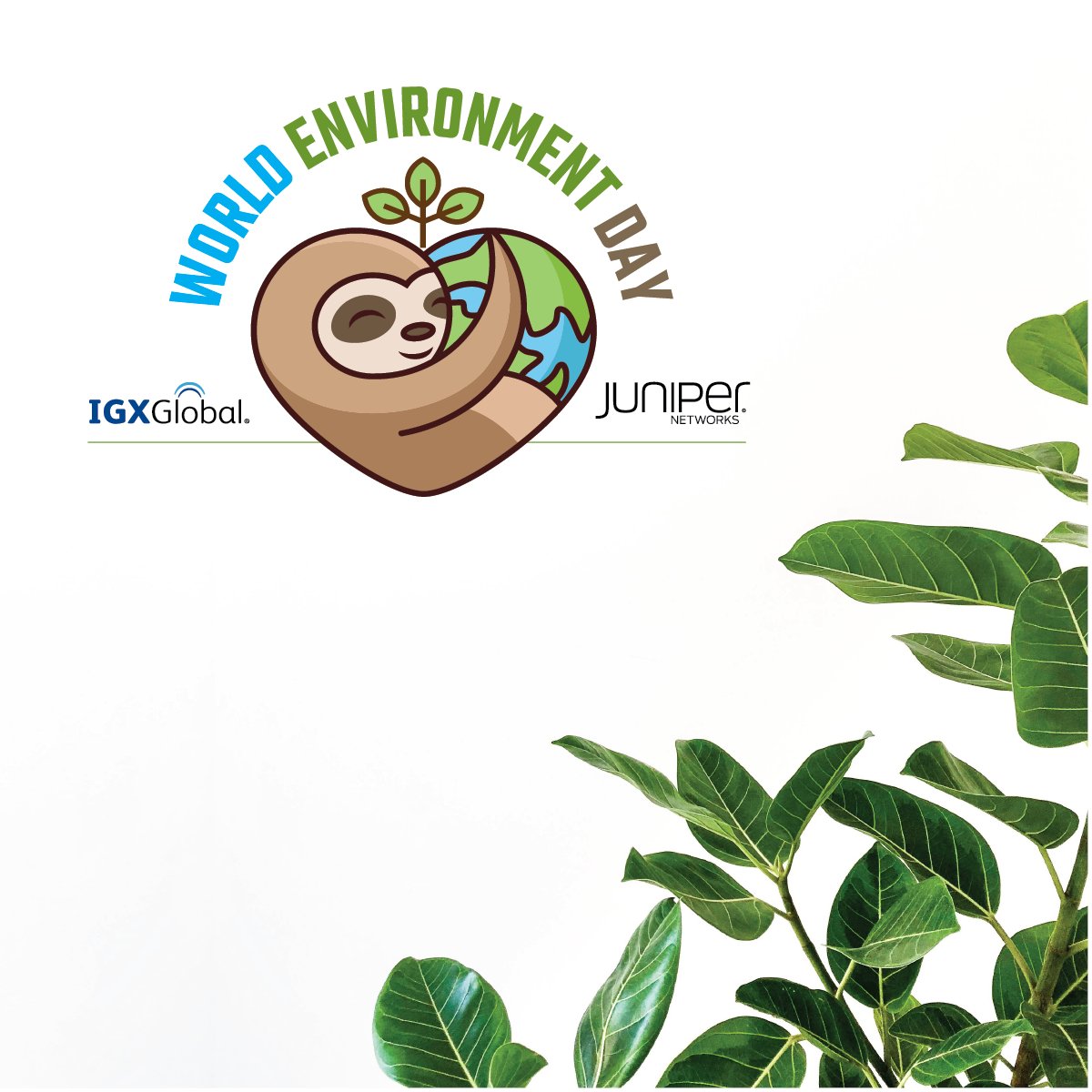 IGXGlobal tweet media