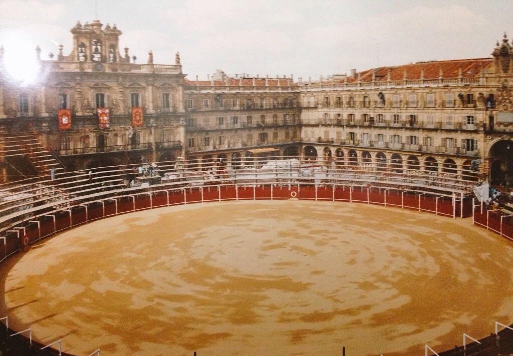 Fundación Toro Lidia tweet media