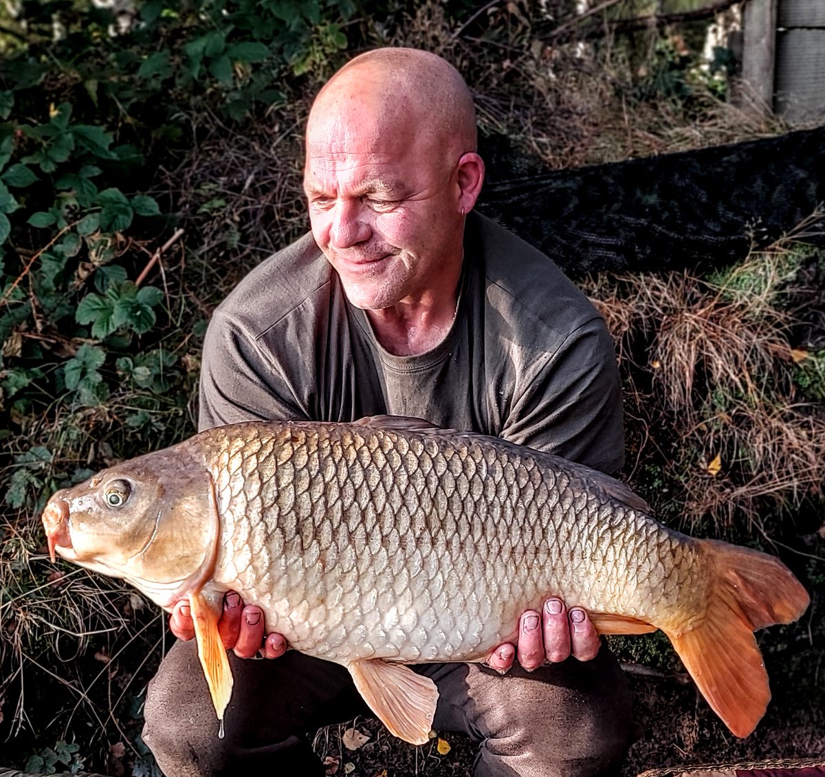 Mid double from the weekend. 
#rigittackle #rudhallValleyBaits #gctangling #carpcouture