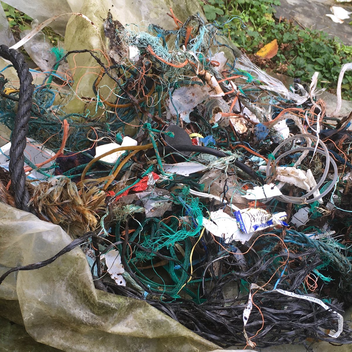 GesineSchulz's tweet photo. Wenn zwei Schriftstellerinnen aus dem #Ruhrgebiet während der #Ruhrcleanup-Aktion in #Irland sind, sammeln sie in den Schreibpausen eben dort #Plastikmüll vom Strand. Die Plastikplane war diesmal der größte Fund.😲
#westcork #autorinnenleben #schreiben https://t.co/TIvW2zXG09