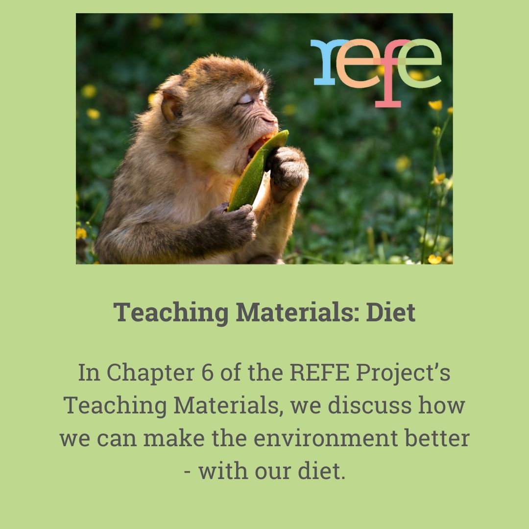 REFE Project tweet media