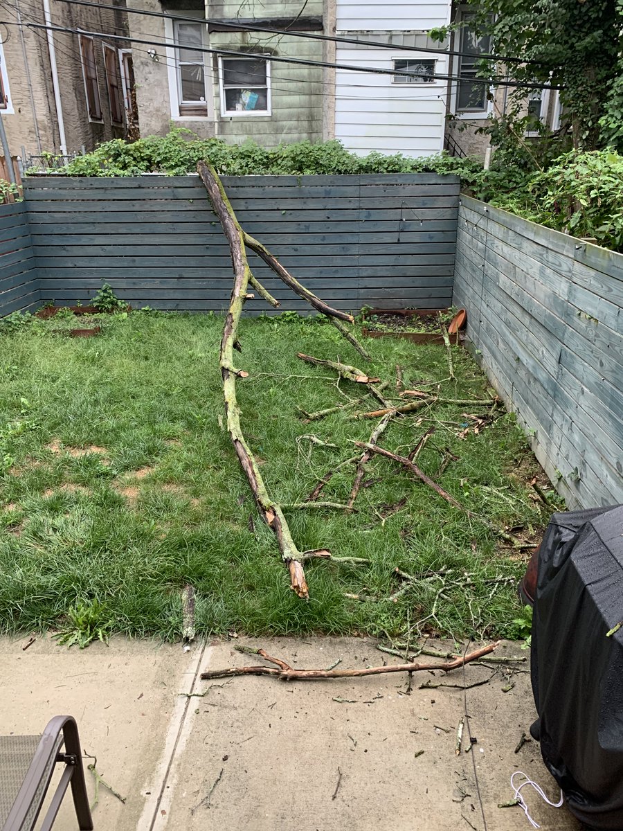 RealOneSix's tweet photo. This is now the 4th time a branch this big has fallen into my yard since May this time just missing me and my dog. The deadtree is located on vacant city owned lot next door. @PPD14Dist  @philly311 @PhilaParkandRec Please do something about this before someone gets hurt or worse. https://t.co/eYWEGwL0DQ
