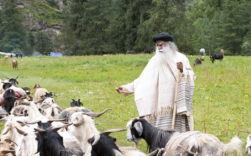 SadhguruJV's tweet image. Our idea of human significance has to change. We are just another life form on the planet. #SadhguruQuotes