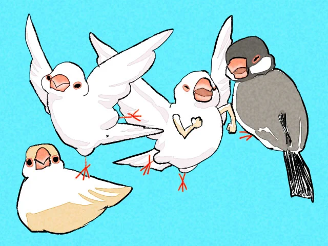 #なら文鳥博、初日から大盛況だということです、ありがとうございます°˖✧◝(⁰▿⁰)◜✧˖明日からもよろしくね!! 