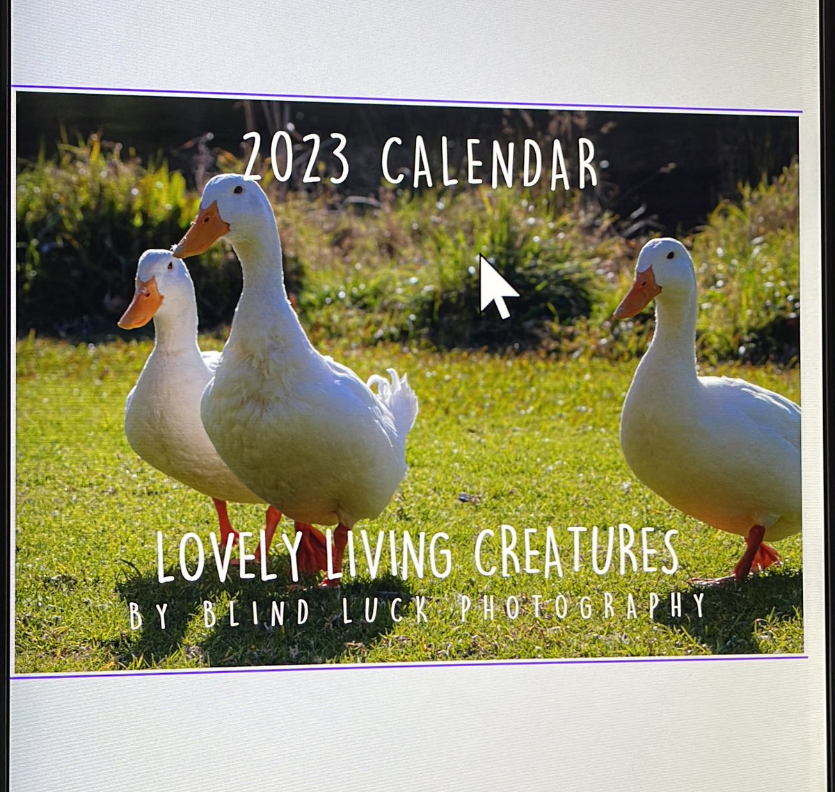 blindluckphotog's tweet photo. Creating 2023 calendars to release THIS NOVEMBER on my website!! Will be updating as I finish + upload ❤️❤️ feel free to let me know which ones you like! Will be releasing wall + desk calendars ❤️ https://t.co/SvndZOeZ31