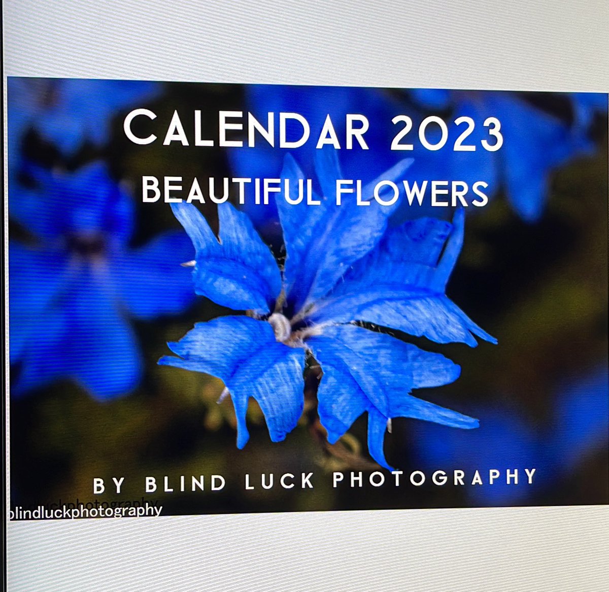 blindluckphotog's tweet photo. Creating 2023 calendars to release THIS NOVEMBER on my website!! Will be updating as I finish + upload ❤️❤️ feel free to let me know which ones you like! Will be releasing wall + desk calendars ❤️ https://t.co/SvndZOeZ31