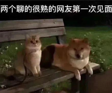 W0sbukW's tweet photo. 一天到���在群里撩我的学弟，
今天见面我感觉他傻了。

呵~男人 https://t.co/yQJDtELYDj