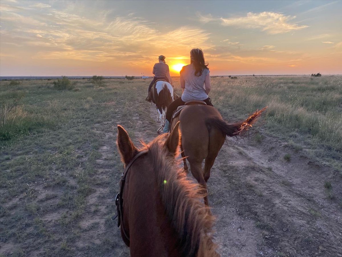 gary-numan-on-twitter-the-band-have-flown-home-so-have-most-of-the