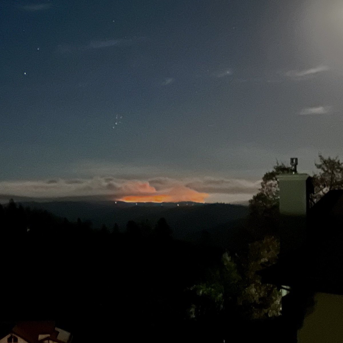 Common Tater tweet media