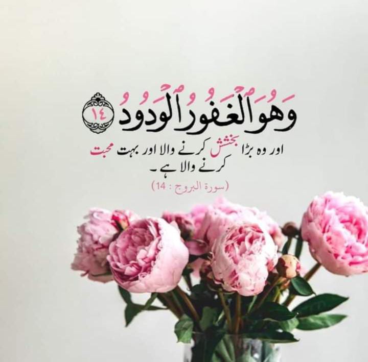 mshariqs tweet picture