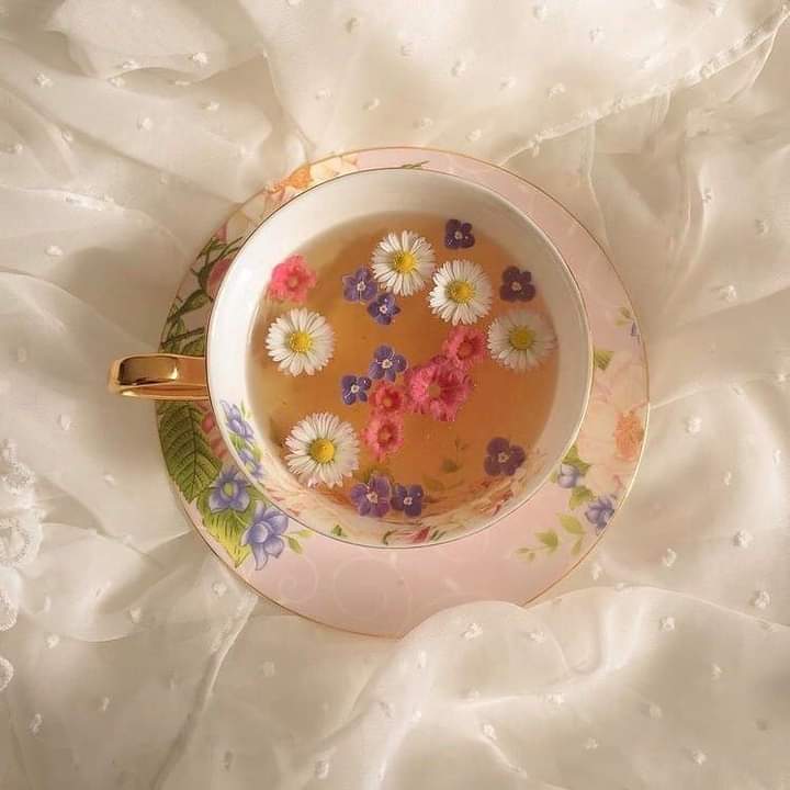 prettiestavenue's tweet photo. prettea https://t.co/eLelkpHHaU