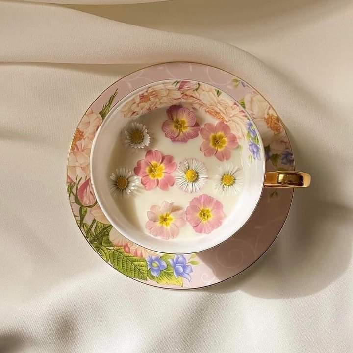 prettiestavenue's tweet photo. prettea https://t.co/eLelkpHHaU