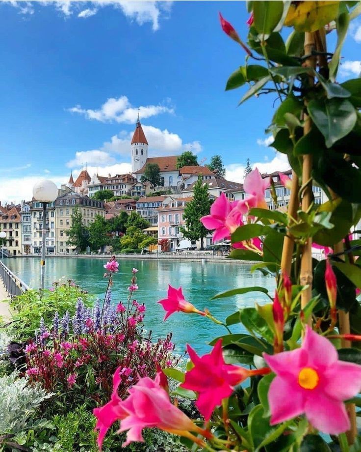 John300470's tweet photo. Switzerland 🇨🇭 https://t.co/lfCsmk53Y2