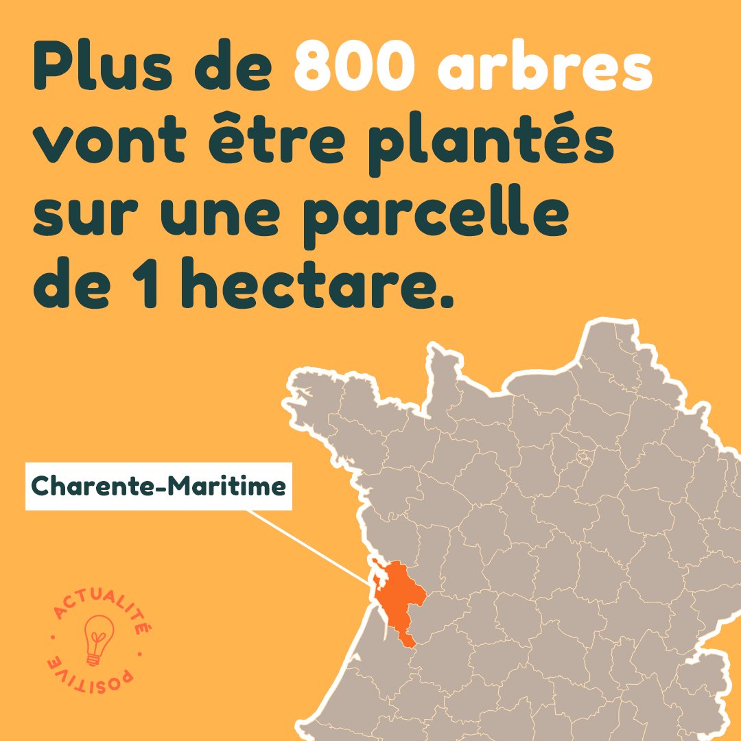 Dans le but de la création d'une “future forêt naturelle”, 834 arbres de 36 espèces différentes seront plantés à l’hiver prochain dans la commune du Landrais, en Charente-Maritime. 🌳

#environnement #arbre #plantation #ecologie