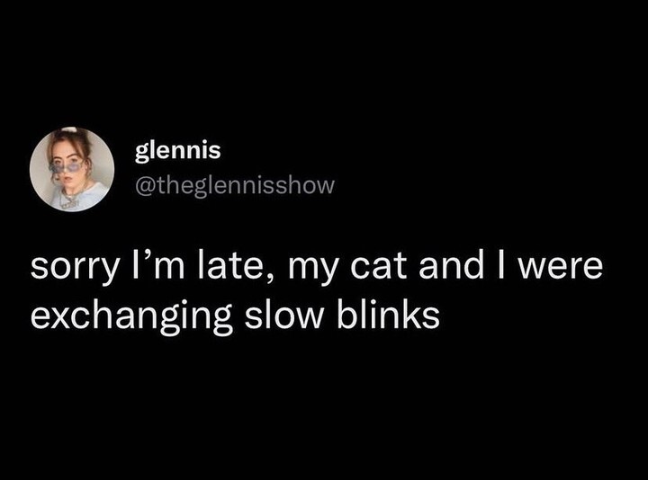 kittywyldchyld's tweet photo. Slow Blinks are kinda our thing... #meandmycat #catslover #catladylife #catmemes #cattweets #sorryimlateagain https://t.co/an3Ux2vFMs https://t.co/NdHb1E53PB