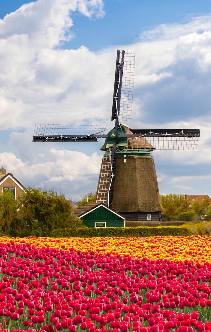 John300470's tweet photo. Netherlands 🇳🇱 https://t.co/REmPXP3PN3
