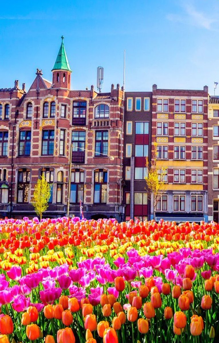 John300470's tweet photo. Netherlands 🇳🇱 https://t.co/REmPXP3PN3