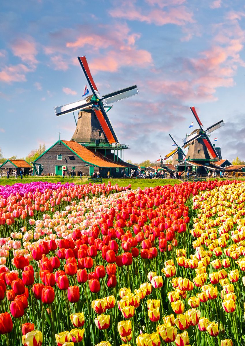 John300470's tweet photo. Netherlands 🇳🇱 https://t.co/REmPXP3PN3
