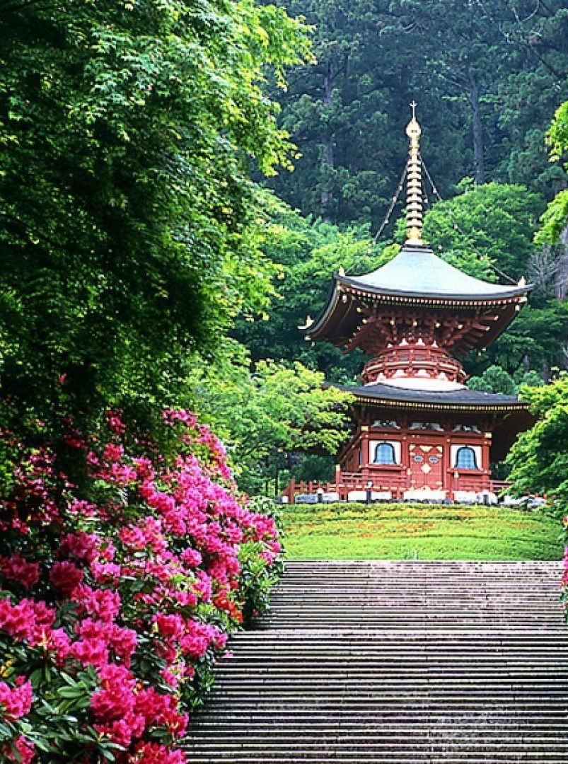 John300470's tweet photo. Japan 🇯🇵 https://t.co/Eb9GgDAzqX