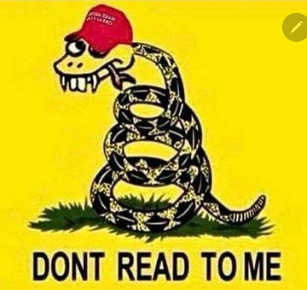 Davyd 🐦 tweet media