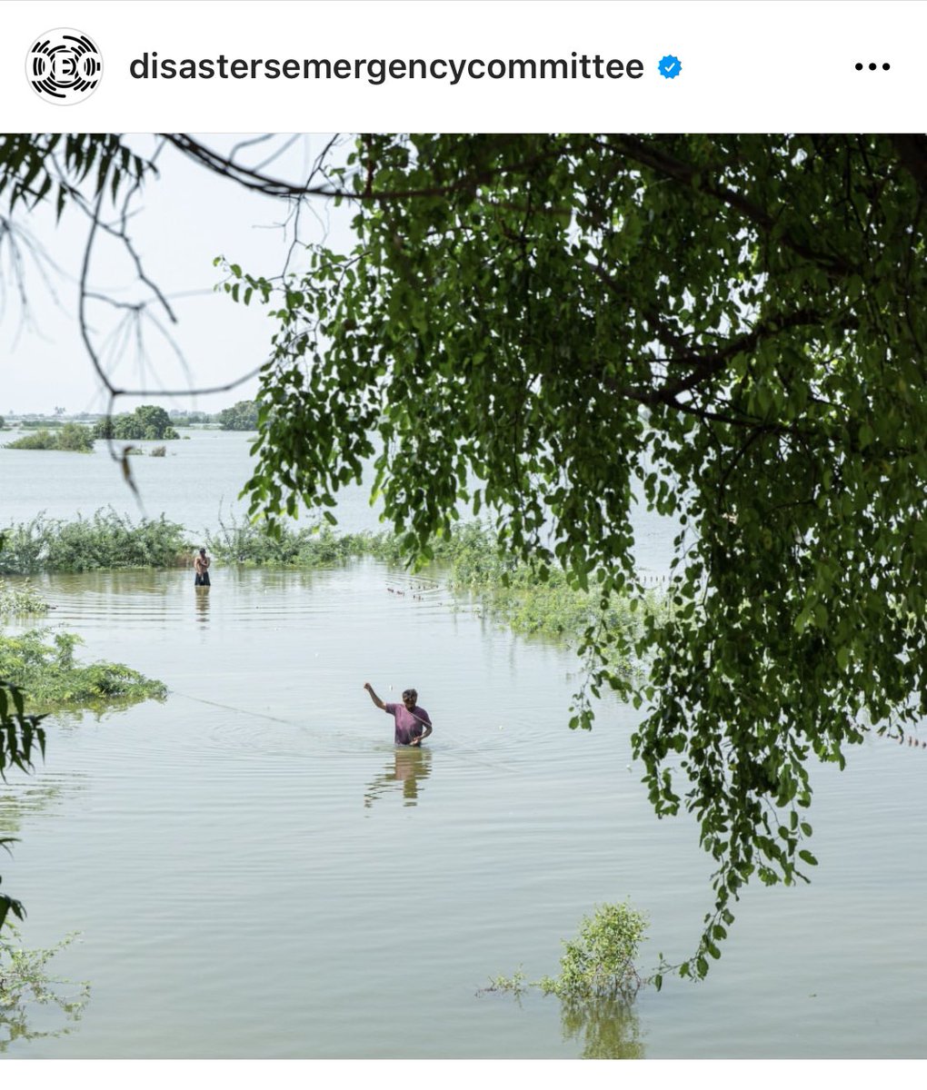 insiyasyed's tweet photo. My work for @decappeal for #FloodsInPakistan / photographed in Thatta, Sindh.

This is a huge community of fishermen that have no means to earn money due to the alarmingly raised levels of water in the Indus River. https://t.co/GJT4mTvIB7