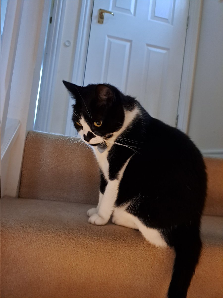 Daniel101 tweet media