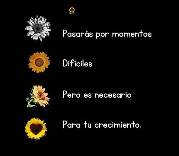 Gaby_J06's tweet photo. https://t.co/2Ba7uw4ny8