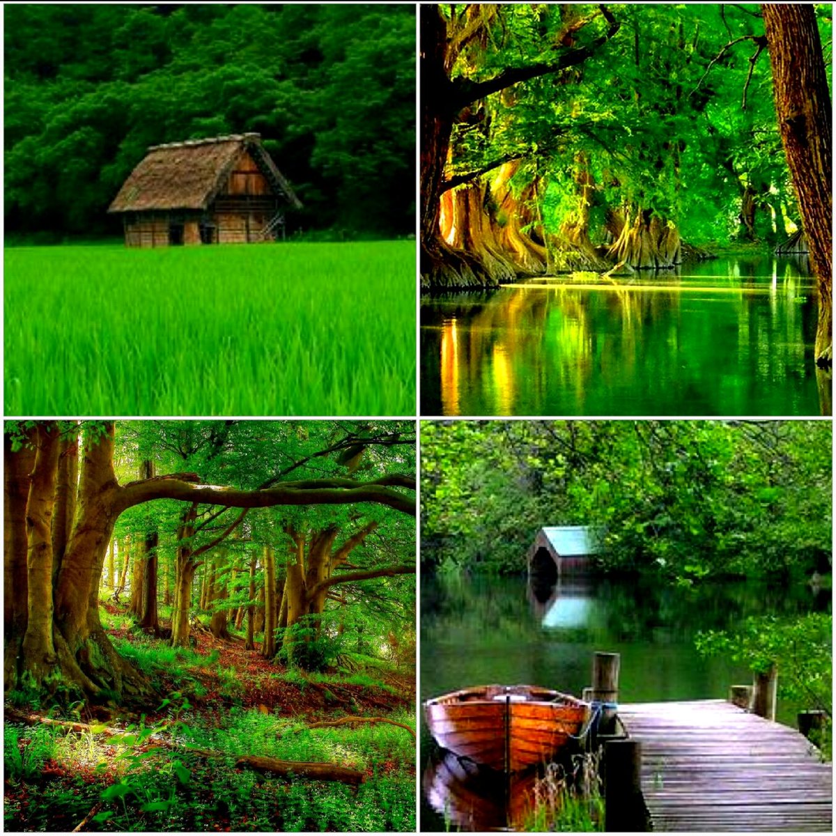 Guten Morgen. Ich wünsche euch einen schönen Tag 🍀 

Du denkst vielleicht, daß du besser bist als alle anderen und du verdienst etwas besseres. Wir alle wünschen uns Frieden .
Verletze nicht andere, damit du besser da stehst. Was auch immer dir gehören soll, wird dich finden🕊