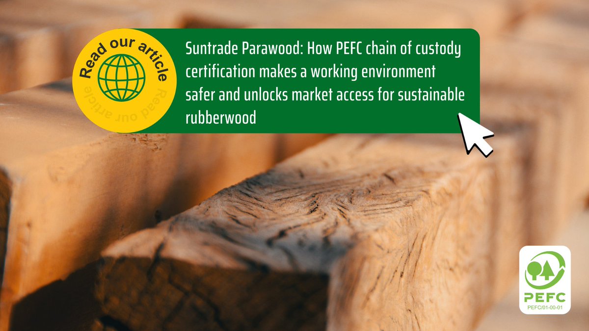 PEFCapac's tweet photo. Suntrade Parawood harvests sustainably sourced and #PEFCcertified rubberwood from rubber trees on plantations in Southeast Asia. Discover how #PEFCcertification has opened new doors for companies like Suntrade Parawood in our article: https://t.co/rN0Fl0yhCZ https://t.co/rM3GwjiF2z