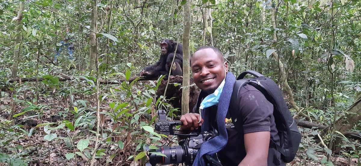 LaurenEdukon's tweet photo. Chimps at Kibale National Park in Uganda (The home of chimps)
There are about 1,450 chimpanzees at Kibale.
@UgTourismBoard @ChamsMedia
@Ric_Maweu @AlexChamwada
#ExploreUganda #PearlOfAfrica #TrulyUnique https://t.co/LDq0H9Dqkt