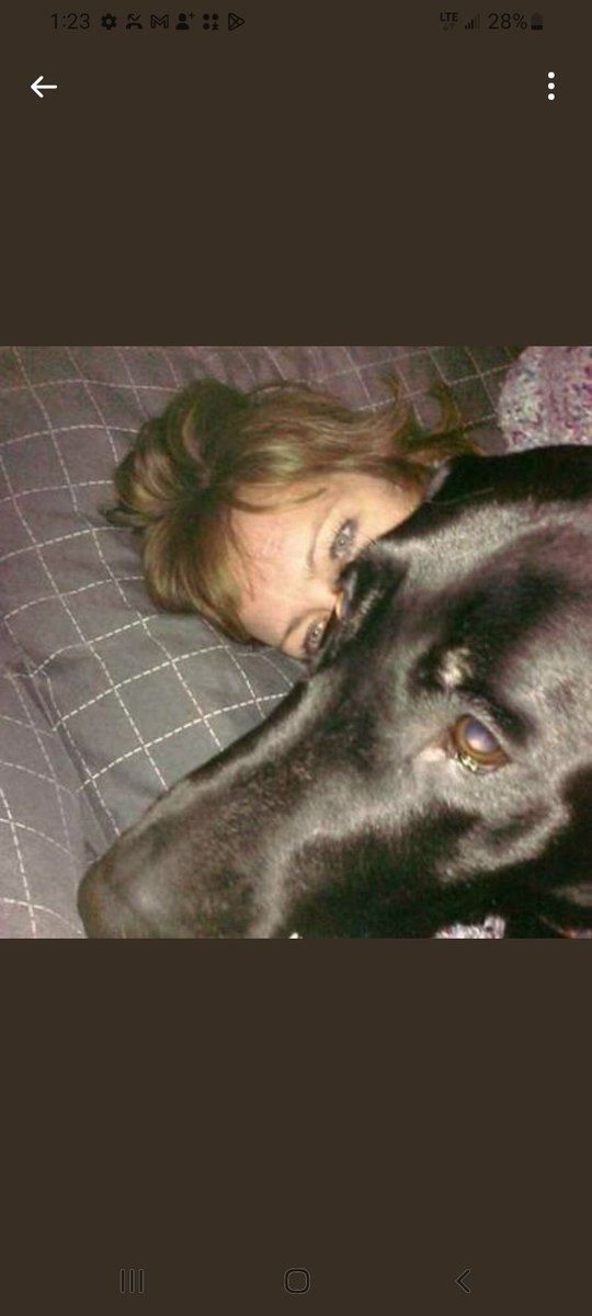CNBW_68's tweet photo. Gollee are @NanetteDonnelly's eyes not sexy/pretty...that dog wants my snuggles too...pls don't block me https://t.co/yw6l7JnWlZ