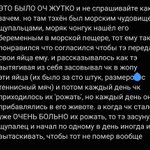Photo by боба ти | переехала | закреп (@bobati_)