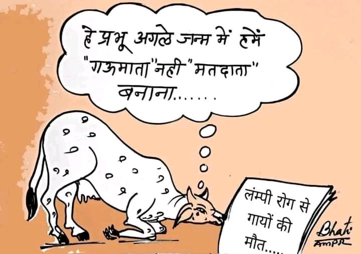 Biragbhan_Aheer's tweet photo. There is a lot of politics in the name of cow, but the picture of how serious it is in reality is in front of everyone. #lumpy_virus

#lampivirus #lampi https://t.co/hzWGEbWmJK