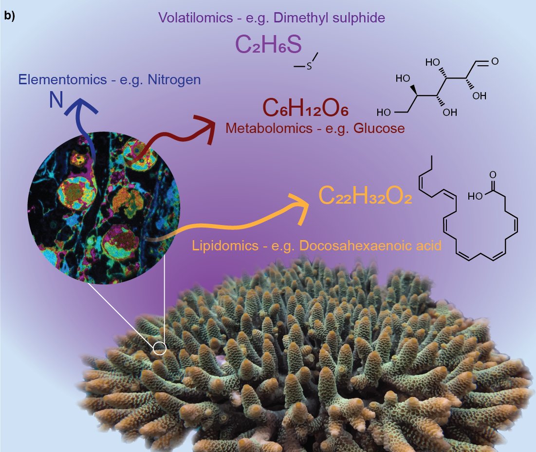 Dr Caitlin Alinya Lawson tweet media