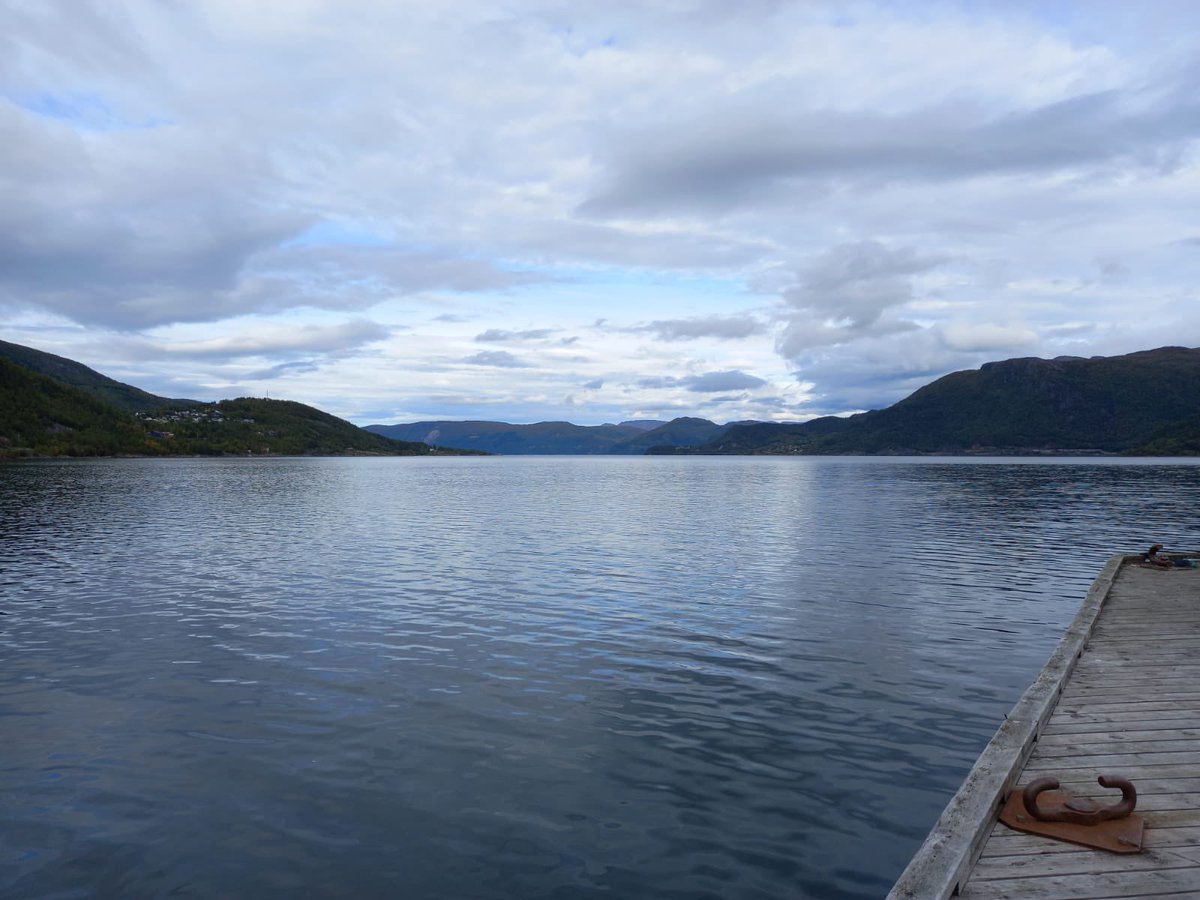 Team Arjen tweet media