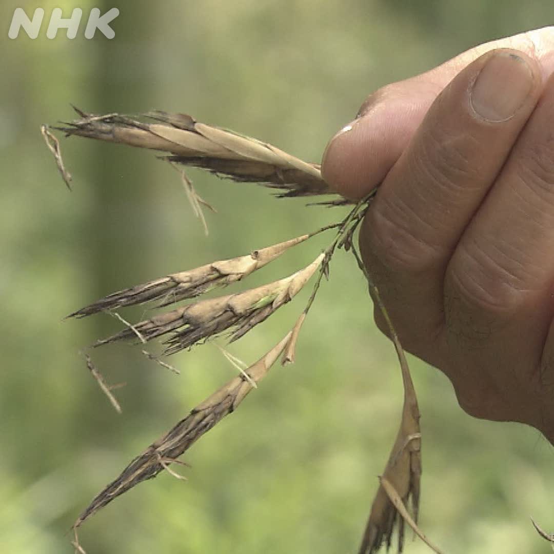 Imvfzruoptdggm Imvfzruoptdggm