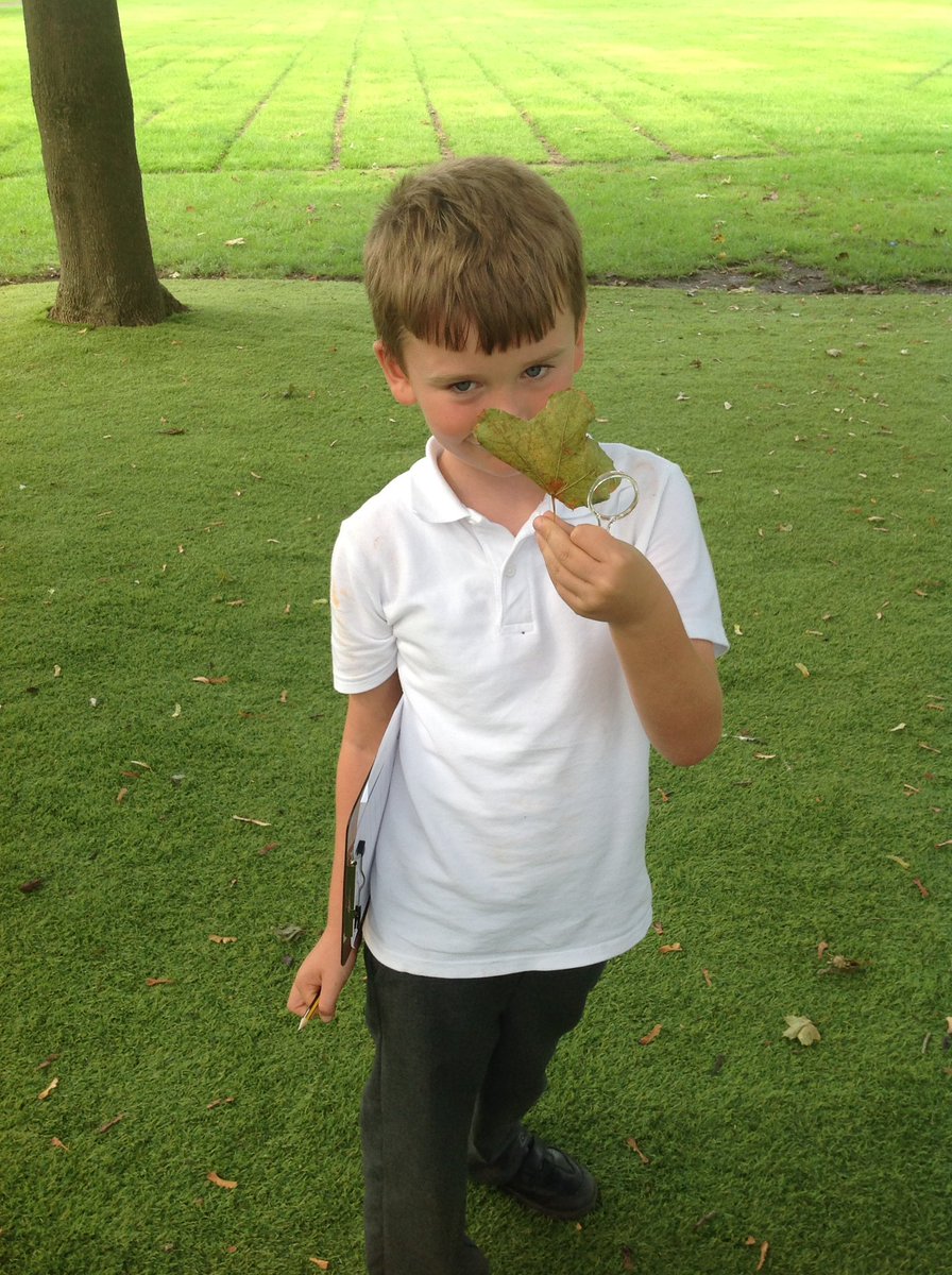 MissMcLeodAPS's tweet photo. @ArdenPrimary Year 2 had a great time searching for mini beasts! https://t.co/4oruk1JMzR