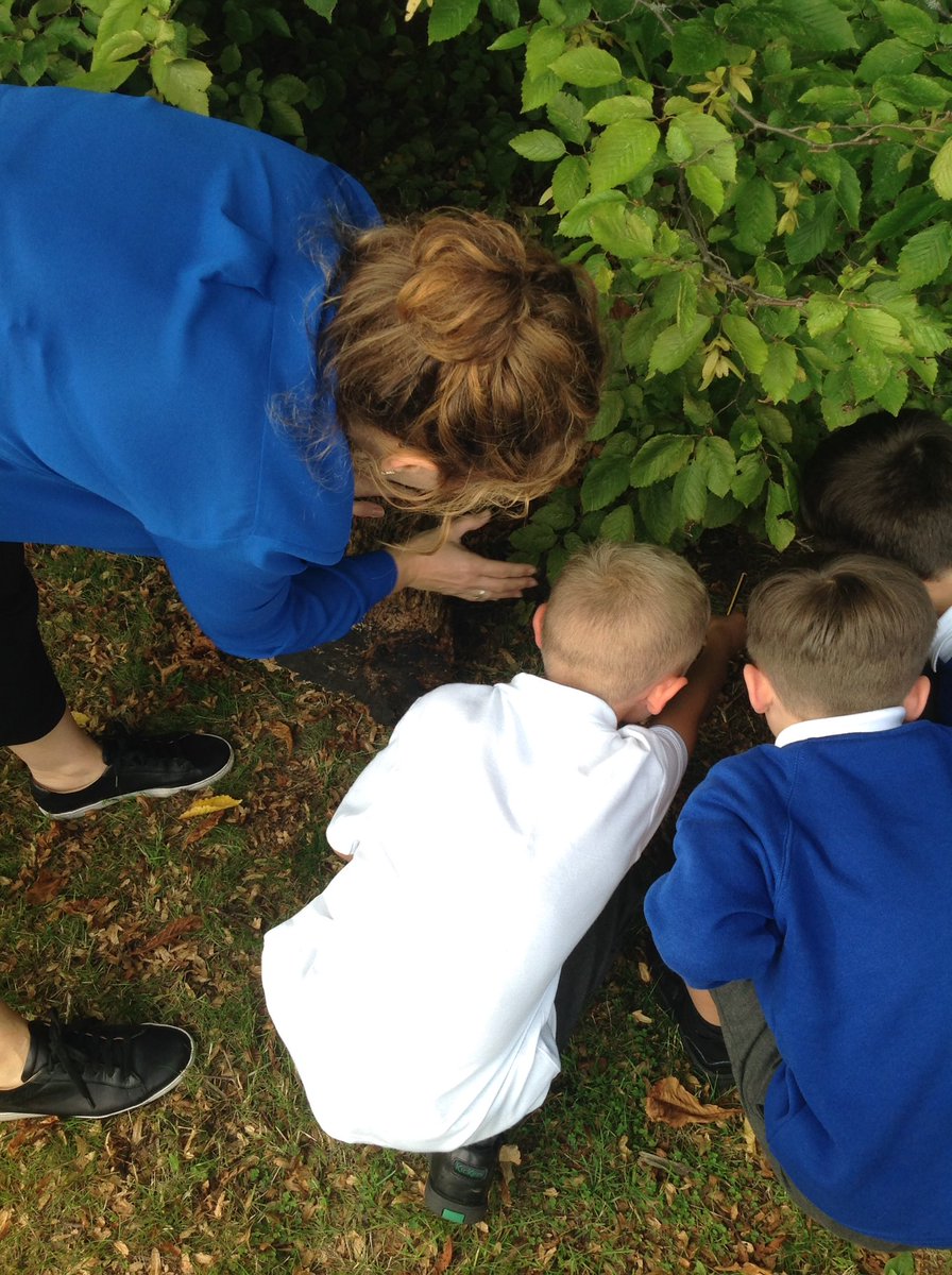 MissMcLeodAPS's tweet photo. @ArdenPrimary Year 2 had a great time searching for mini beasts! https://t.co/4oruk1JMzR