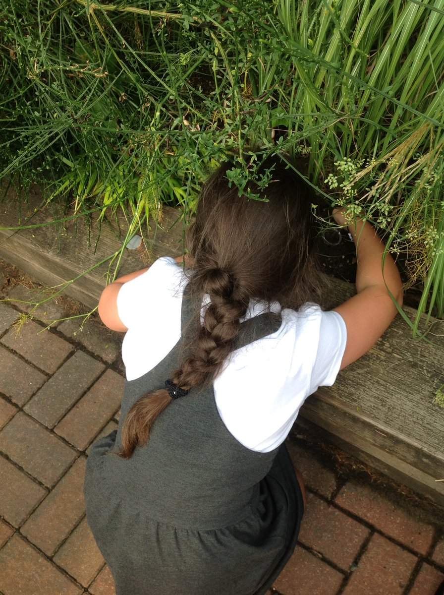 MissMcLeodAPS's tweet photo. @ArdenPrimary Year 2 had a great time searching for mini beasts! https://t.co/4oruk1JMzR